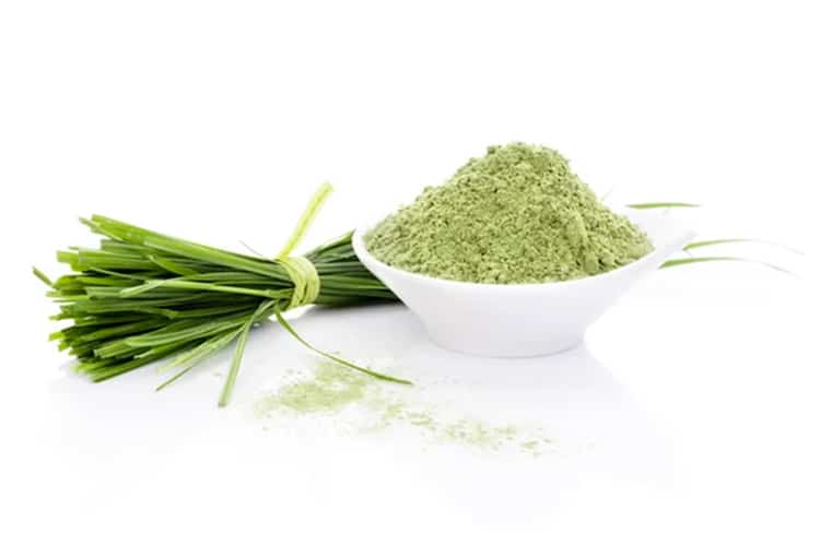 barley grass