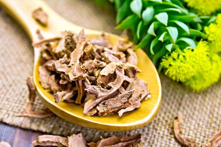 best time to take Rhodiola