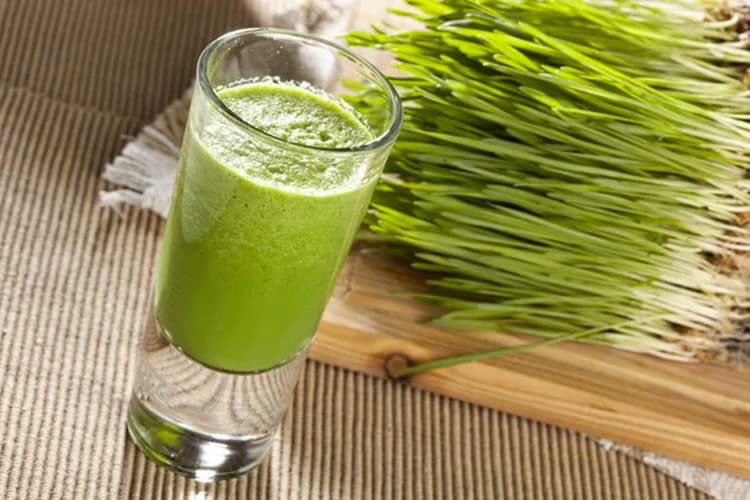 wheatgrass juice