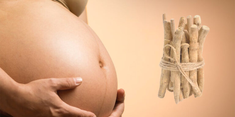 Ashwagandha Safe During Pregnancy