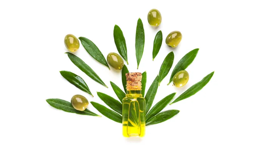 Composition with olive oil