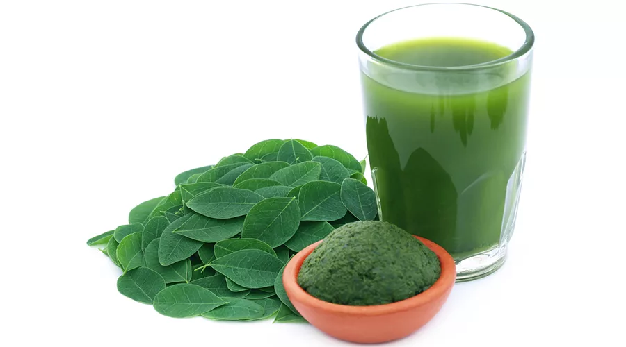 Edible moringa leaves with extract and ground paste