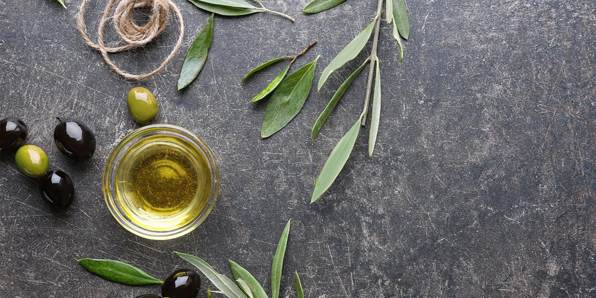 Olive Leaf Extract Benefits According To Nutritionist