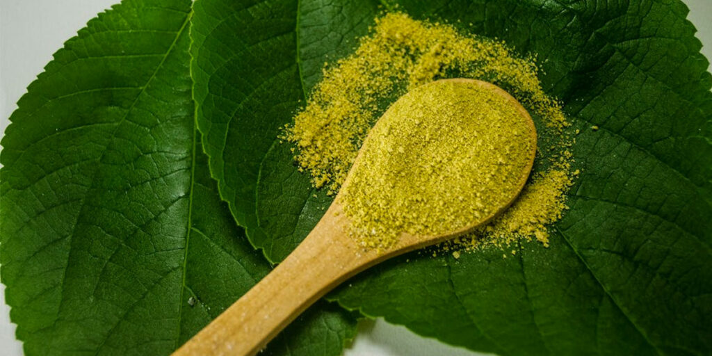 Green Powder in Spoon on Leaves