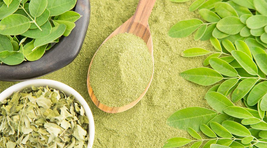 Moringa leaves and dust