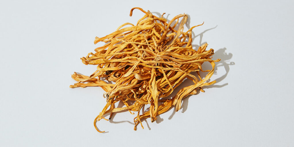 Cordyceps Benefits And How To Use