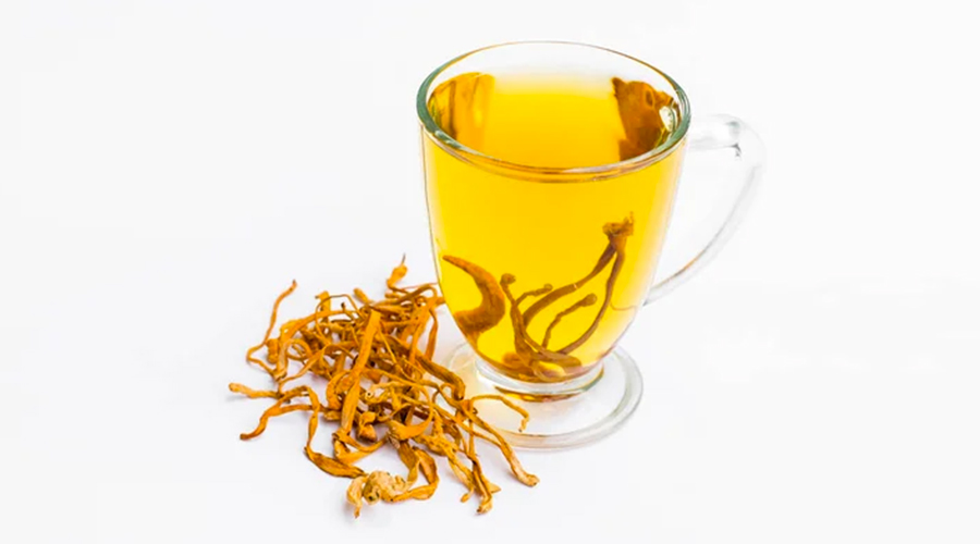 Cordyceps militaris mushroom