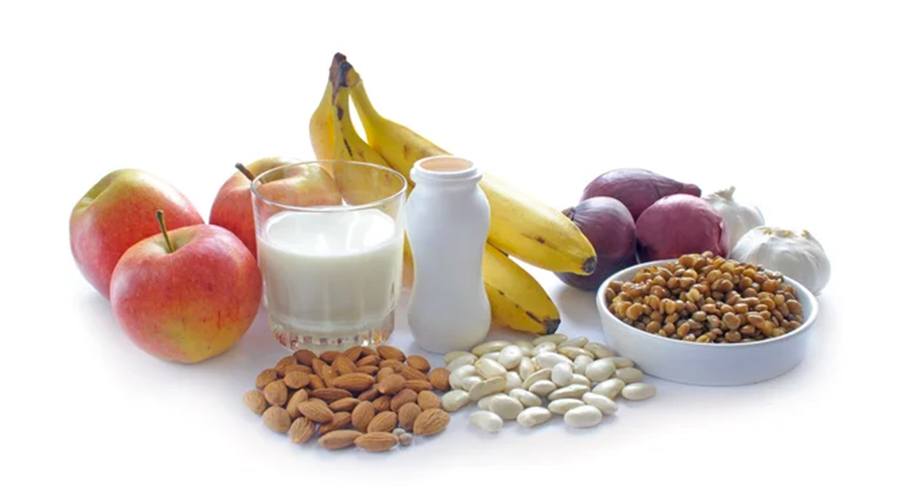 Probiotic foods diet