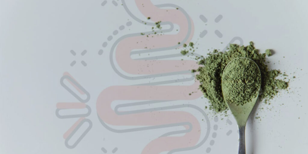 greens powder in spoon for gut health