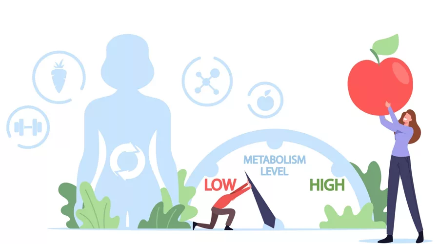 Boost Energy Levels in Your Body