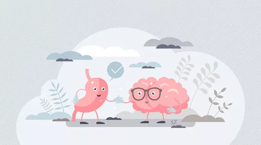 Gut brain connection