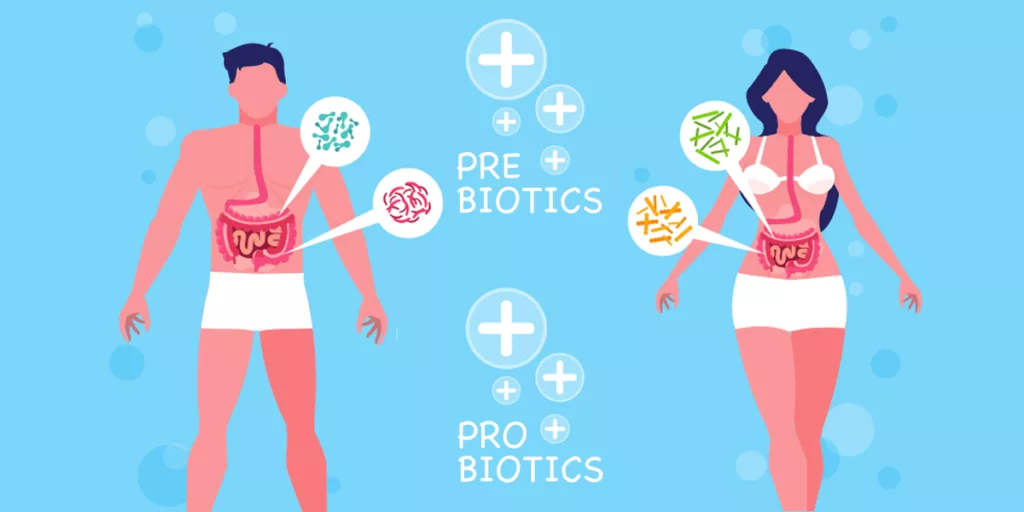 Best Prebiotic And Probiotic