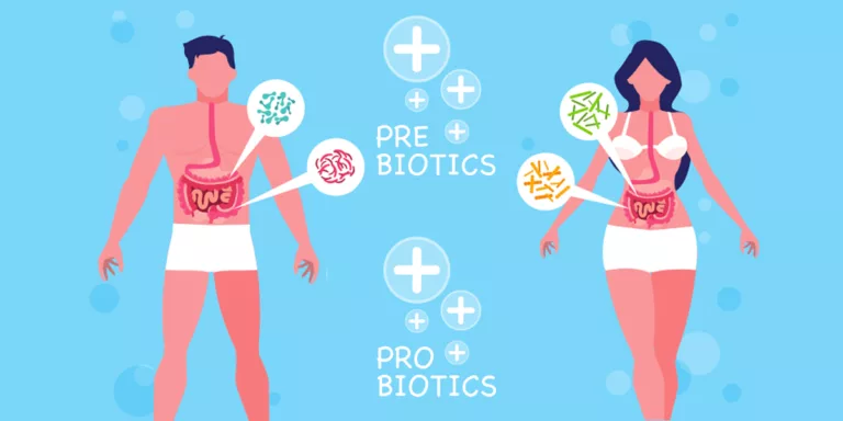 Best Prebiotic And Probiotic