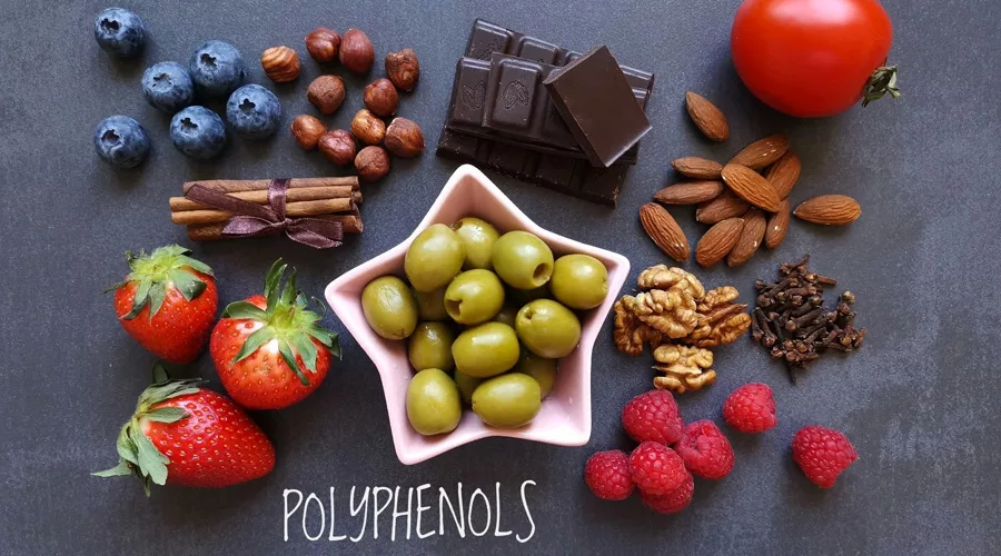 Understanding The Benefits Of Polyphenols Supplements