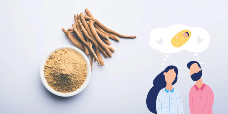 Ashwagandha And Fertility