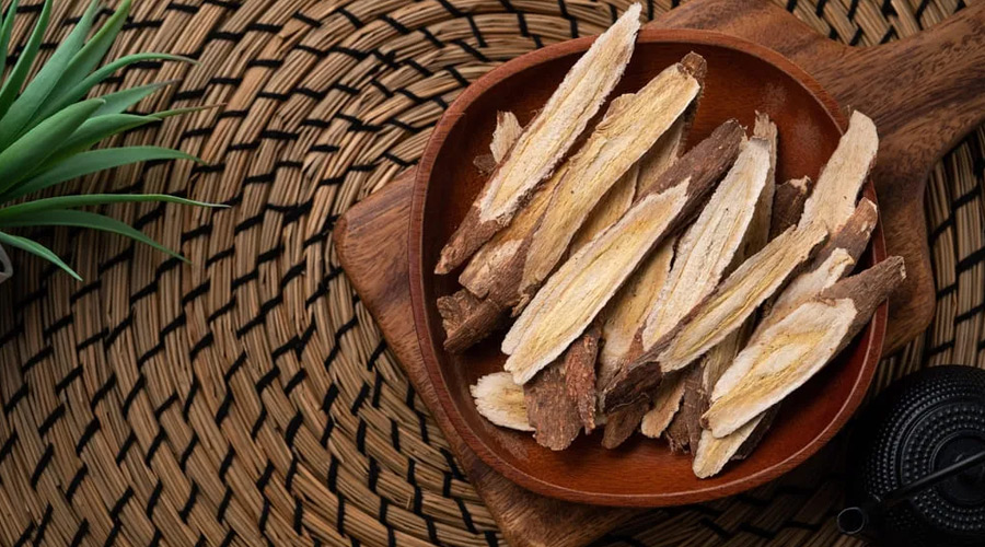Astragalus