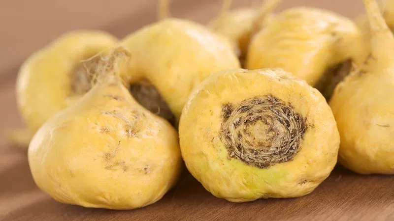 Maca Root
