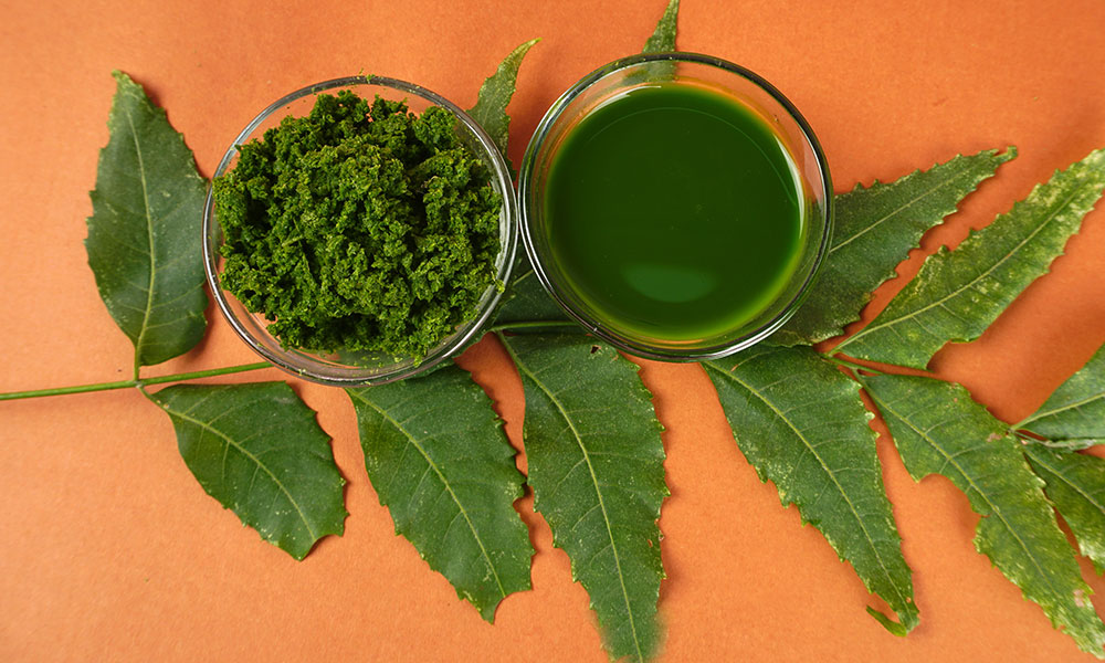 Moringa vs Matcha powder
